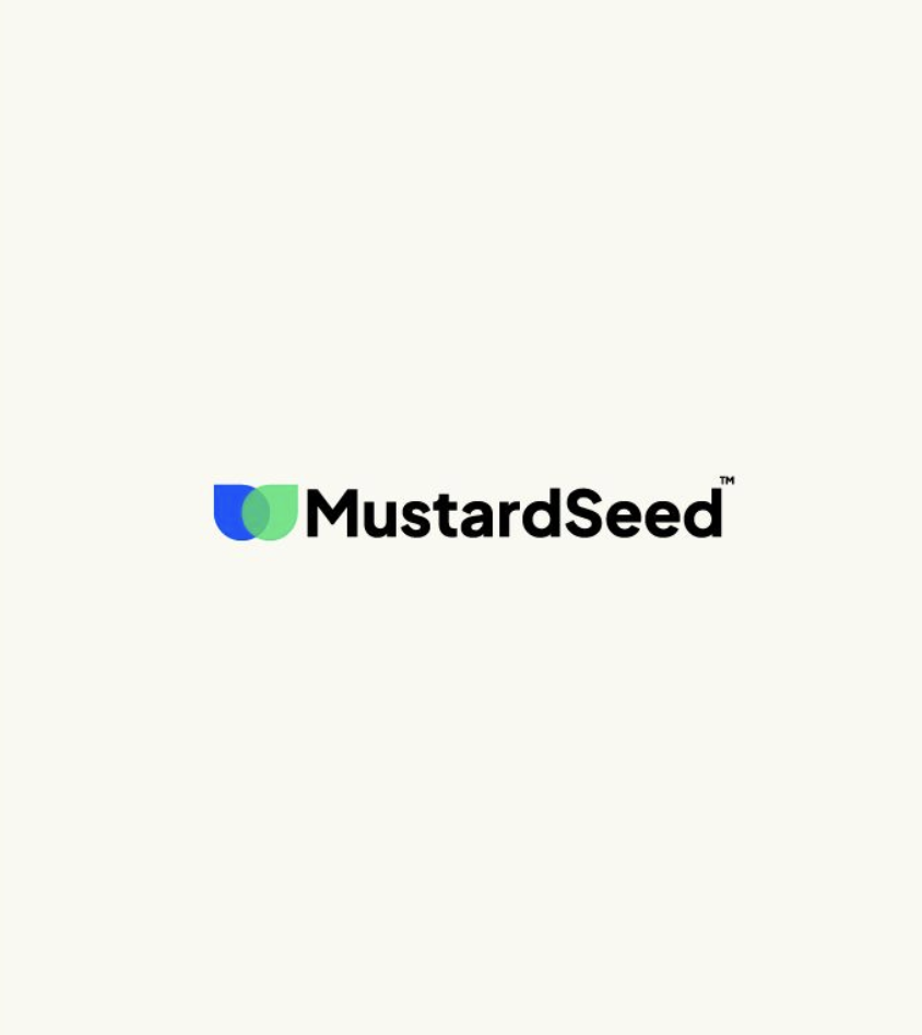 MustardSeed PMO: strategic brand realignment for enterprise growth